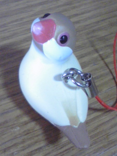 �T�������l�H