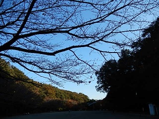 ���������ł����񂷁B