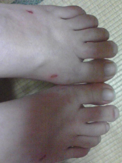 ���ʎC�� �ԉ�