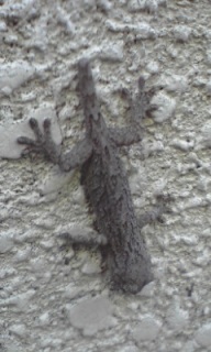 �ق�ƂɁc�ق�Ƃ�