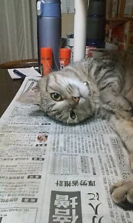 �E�C���c�ق���