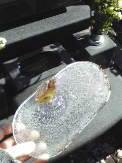 ���킷���킷